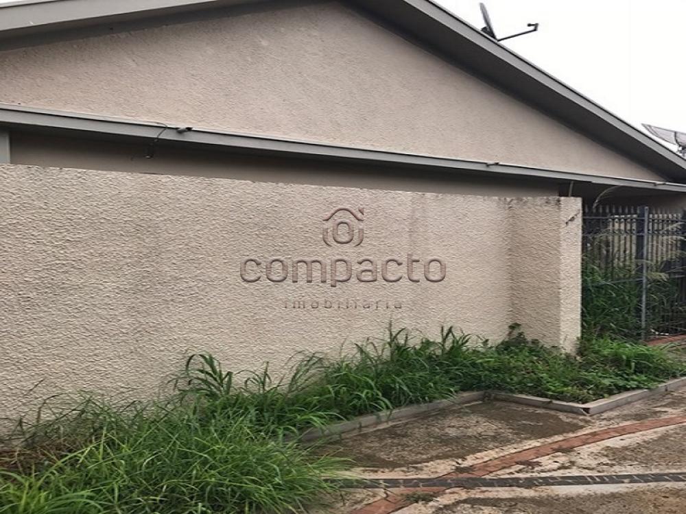 Alugar Casa / Padrão em São José do Rio Preto apenas R$ 1.600,00 - Foto 2 Alugar Casa / Padrão em São José do Rio Preto apenas R$ 1.600,00 - Foto 2