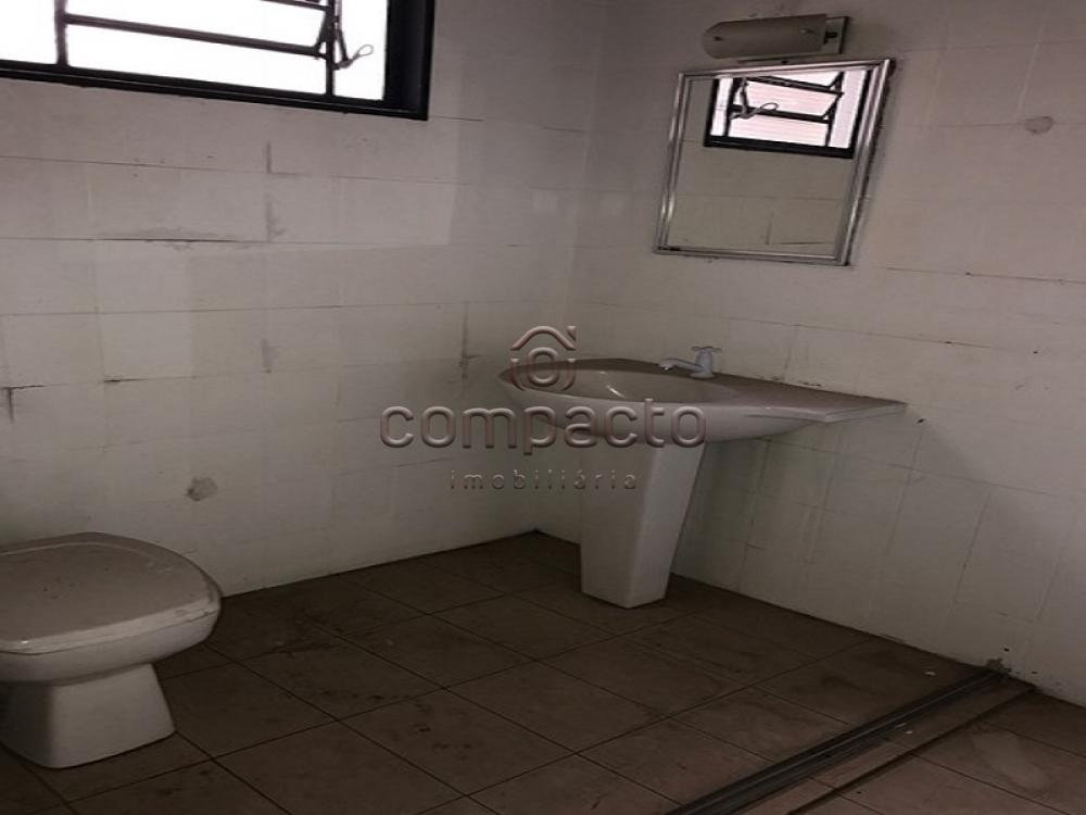 Alugar Casa / Padrão em São José do Rio Preto apenas R$ 1.600,00 - Foto 9 Alugar Casa / Padrão em São José do Rio Preto apenas R$ 1.600,00 - Foto 9