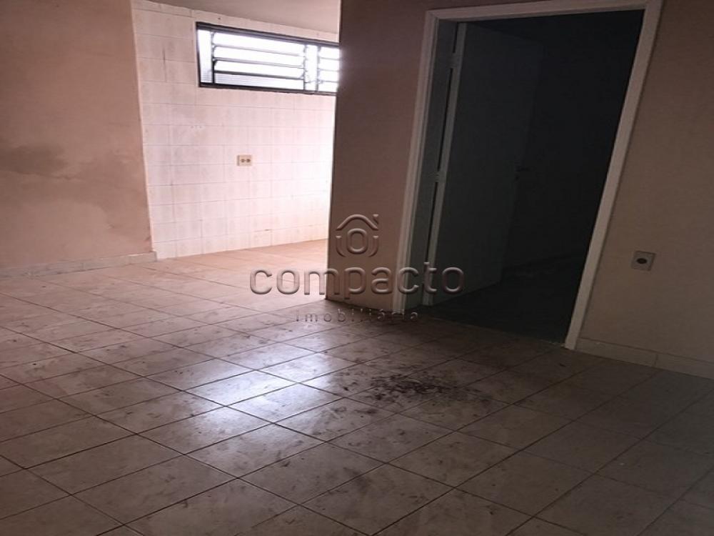 Alugar Casa / Padrão em São José do Rio Preto apenas R$ 1.600,00 - Foto 10 Alugar Casa / Padrão em São José do Rio Preto apenas R$ 1.600,00 - Foto 10