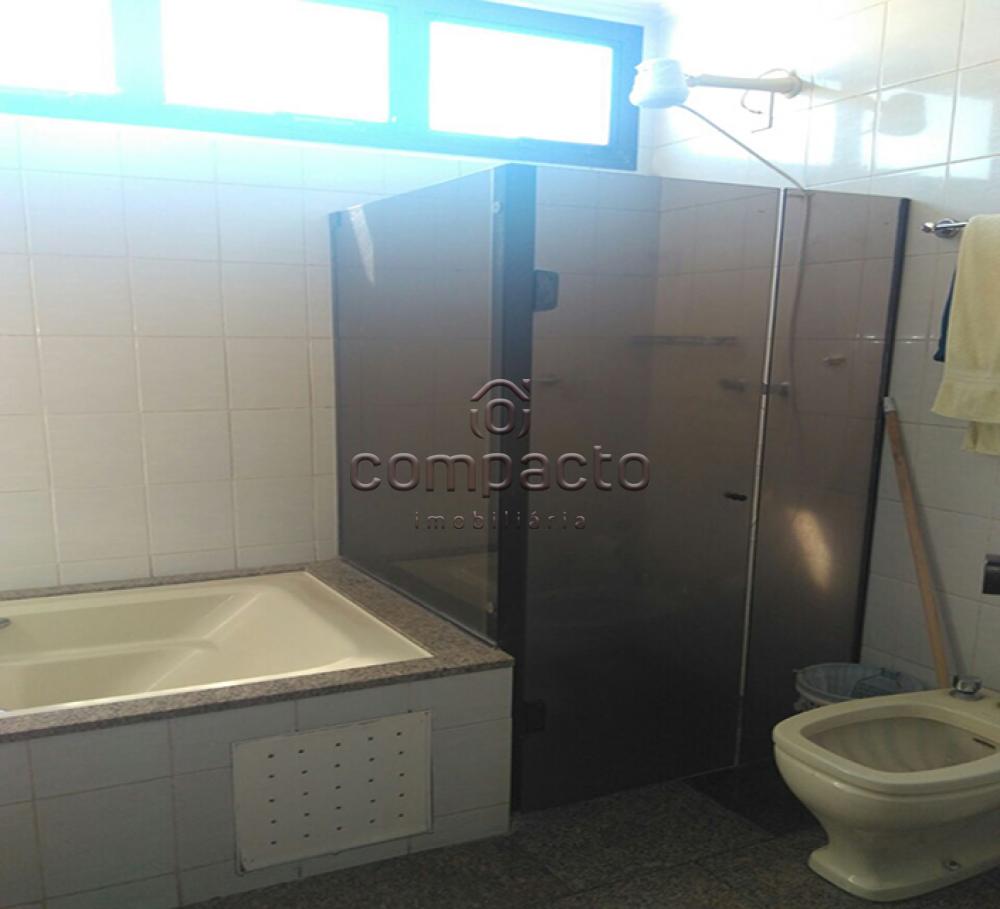 Alugar Apartamento / Padrão em São José do Rio Preto apenas R$ 500,00 - Foto 17 Alugar Apartamento / Padrão em São José do Rio Preto apenas R$ 500,00 - Foto 17