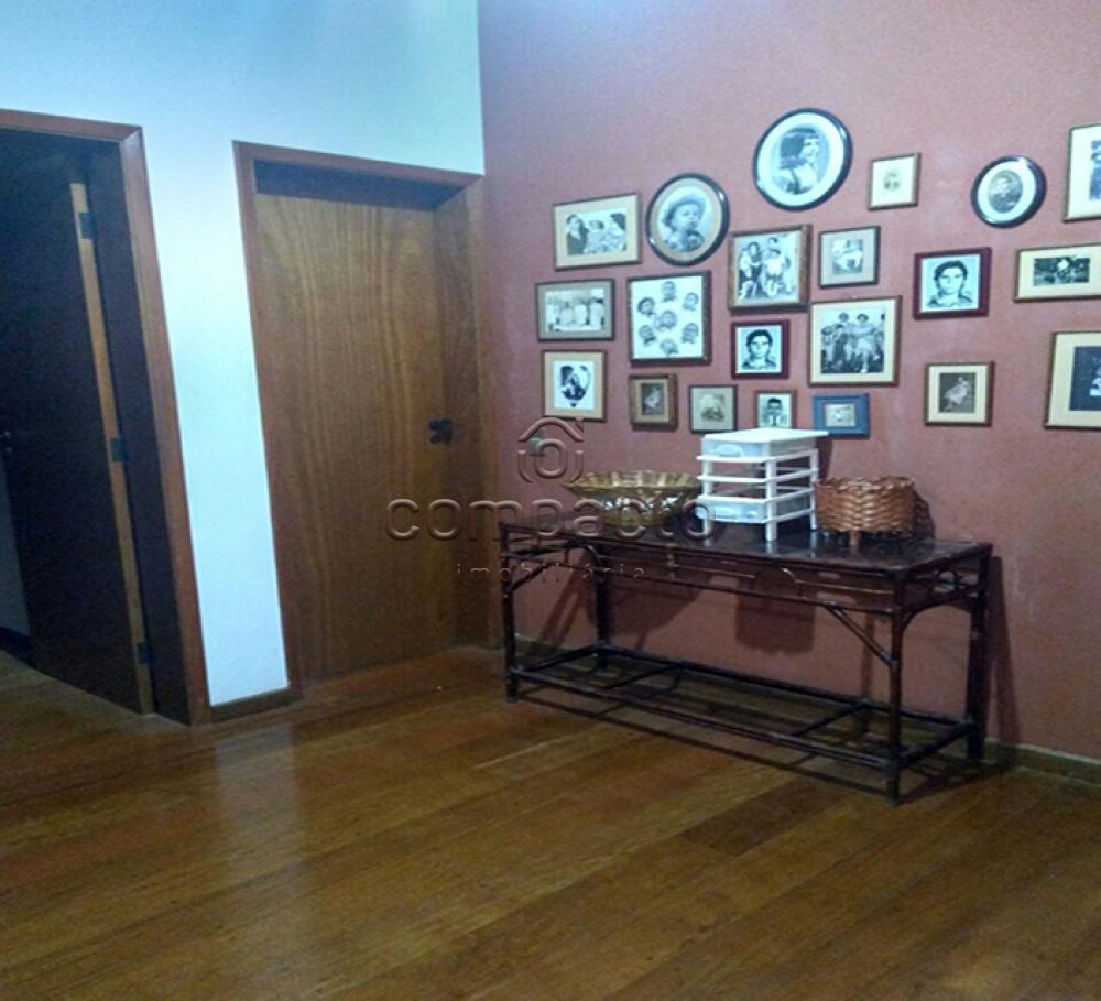 Alugar Apartamento / Padrão em São José do Rio Preto apenas R$ 500,00 - Foto 4 Alugar Apartamento / Padrão em São José do Rio Preto apenas R$ 500,00 - Foto 4