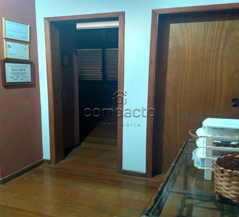 Alugar Apartamento / Padrão em São José do Rio Preto apenas R$ 500,00 - Foto 19 Alugar Apartamento / Padrão em São José do Rio Preto apenas R$ 500,00 - Foto 19