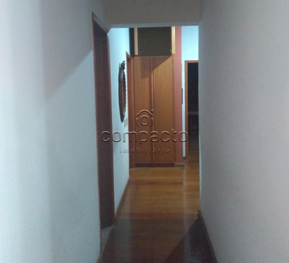 Alugar Apartamento / Padrão em São José do Rio Preto apenas R$ 500,00 - Foto 22 Alugar Apartamento / Padrão em São José do Rio Preto apenas R$ 500,00 - Foto 22