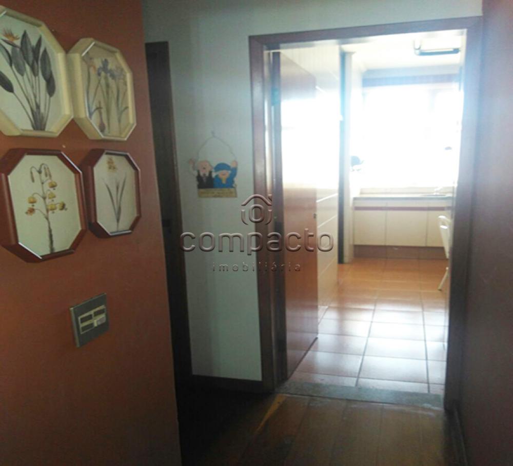 Alugar Apartamento / Padrão em São José do Rio Preto apenas R$ 500,00 - Foto 23 Alugar Apartamento / Padrão em São José do Rio Preto apenas R$ 500,00 - Foto 23