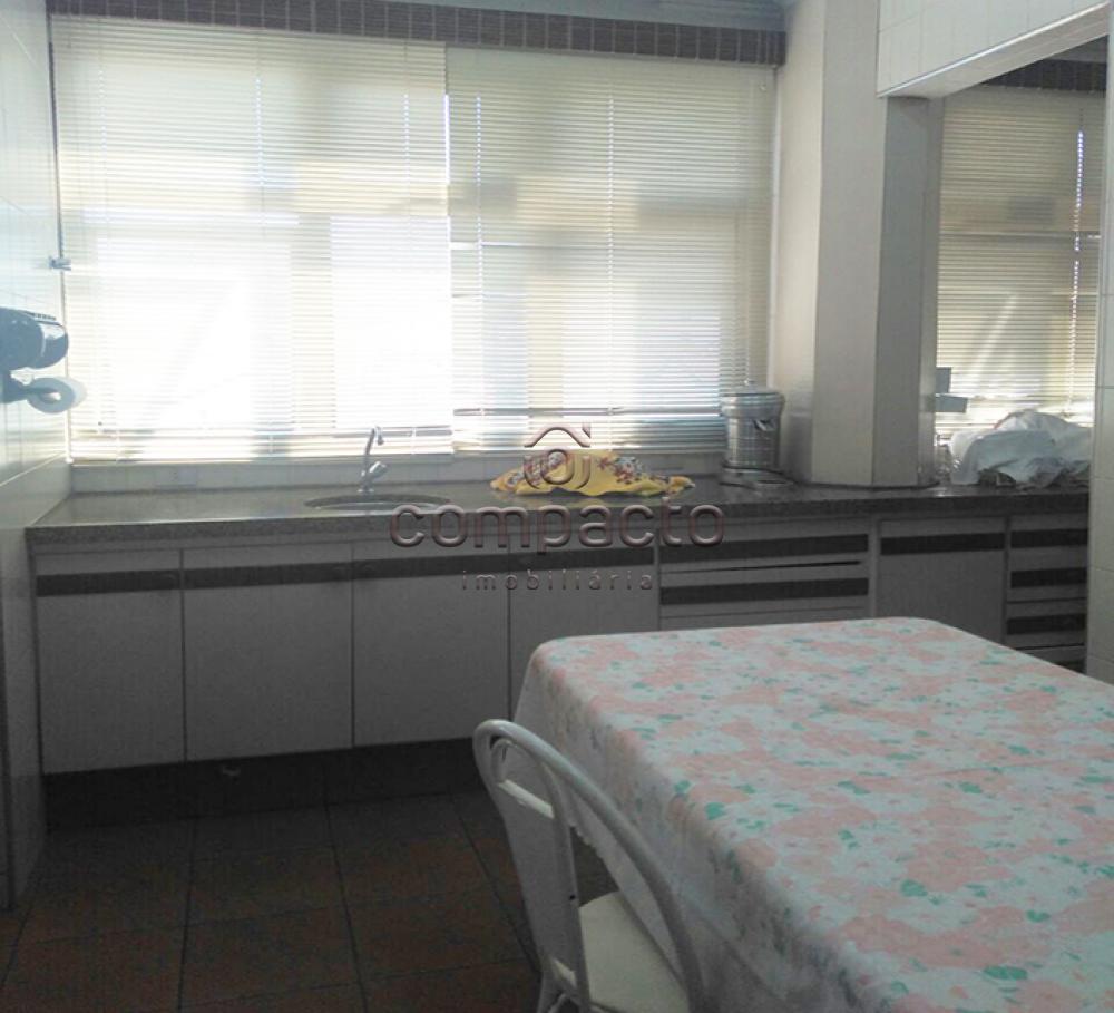 Alugar Apartamento / Padrão em São José do Rio Preto apenas R$ 500,00 - Foto 15 Alugar Apartamento / Padrão em São José do Rio Preto apenas R$ 500,00 - Foto 15