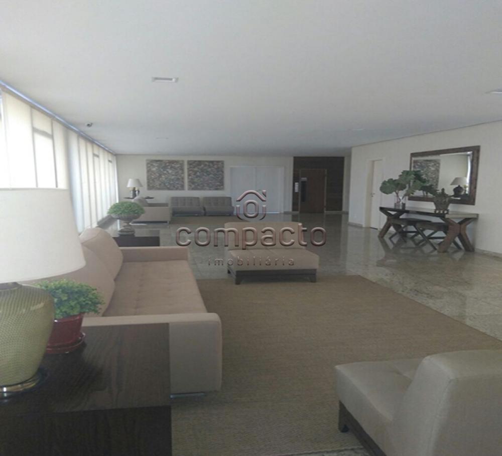 Alugar Apartamento / Padrão em São José do Rio Preto apenas R$ 500,00 - Foto 3 Alugar Apartamento / Padrão em São José do Rio Preto apenas R$ 500,00 - Foto 3