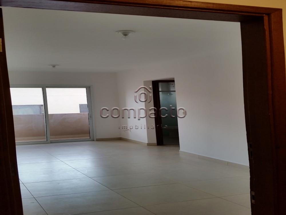 Alugar Apartamento / Padrão em São José do Rio Preto apenas R$ 750,00 - Foto 2 Alugar Apartamento / Padrão em São José do Rio Preto apenas R$ 750,00 - Foto 2