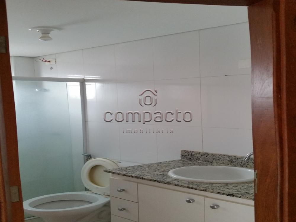 Alugar Apartamento / Padrão em São José do Rio Preto apenas R$ 750,00 - Foto 6 Alugar Apartamento / Padrão em São José do Rio Preto apenas R$ 750,00 - Foto 6