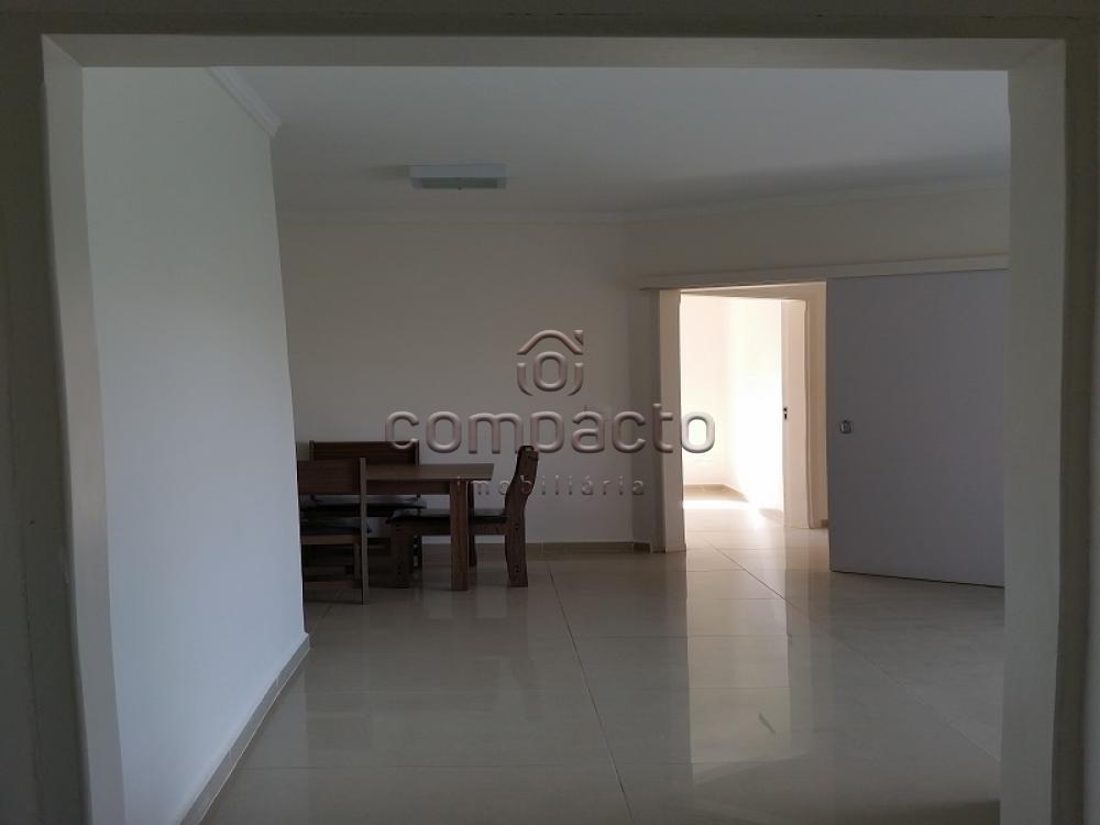 Alugar Apartamento / Padrão em São José do Rio Preto apenas R$ 1.450,00 - Foto 3 Alugar Apartamento / Padrão em São José do Rio Preto apenas R$ 1.450,00 - Foto 3