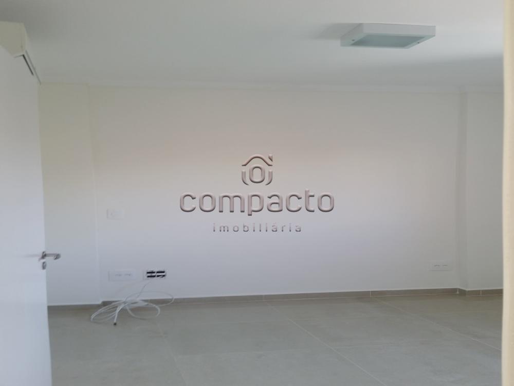 Alugar Apartamento / Padrão em São José do Rio Preto apenas R$ 1.450,00 - Foto 8 Alugar Apartamento / Padrão em São José do Rio Preto apenas R$ 1.450,00 - Foto 8