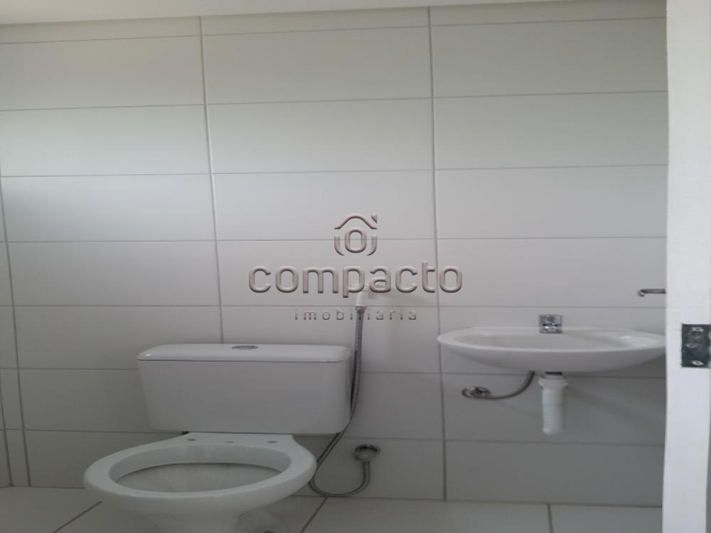 Alugar Apartamento / Padrão em São José do Rio Preto apenas R$ 1.450,00 - Foto 13 Alugar Apartamento / Padrão em São José do Rio Preto apenas R$ 1.450,00 - Foto 13