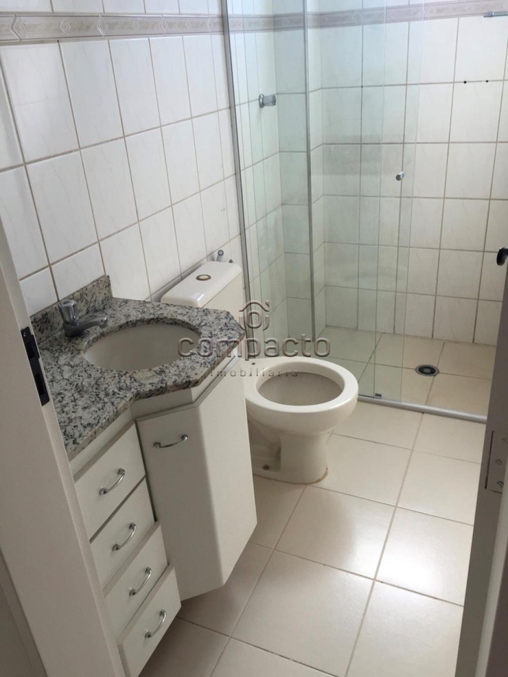 Alugar Apartamento / Padrão em São José do Rio Preto apenas R$ 650,00 - Foto 10 Alugar Apartamento / Padrão em São José do Rio Preto apenas R$ 650,00 - Foto 10