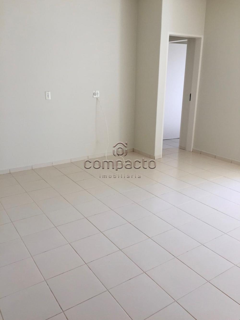 Alugar Apartamento / Padrão em São José do Rio Preto apenas R$ 650,00 - Foto 2 Alugar Apartamento / Padrão em São José do Rio Preto apenas R$ 650,00 - Foto 2