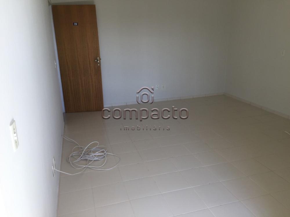 Alugar Apartamento / Padrão em São José do Rio Preto apenas R$ 650,00 - Foto 4 Alugar Apartamento / Padrão em São José do Rio Preto apenas R$ 650,00 - Foto 4