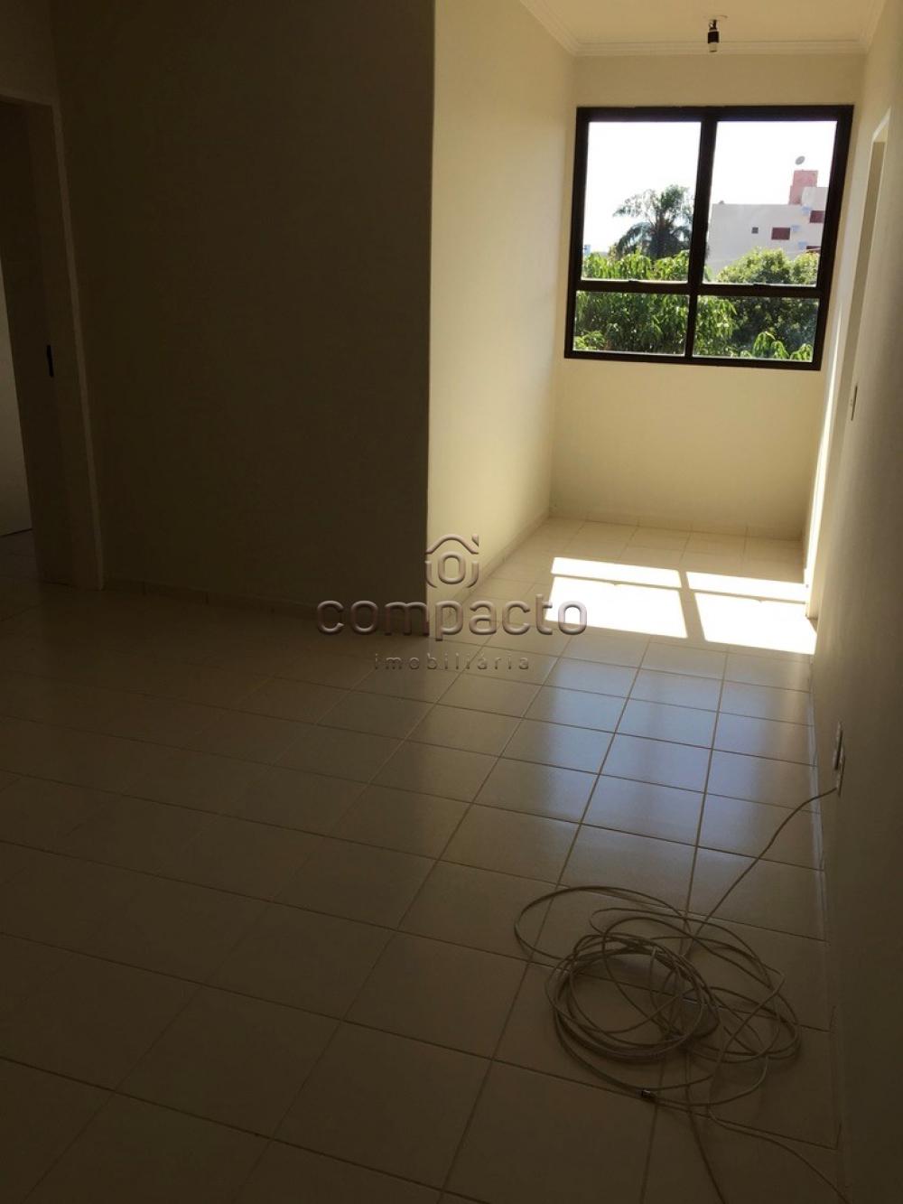 Alugar Apartamento / Padrão em São José do Rio Preto apenas R$ 650,00 - Foto 1 Alugar Apartamento / Padrão em São José do Rio Preto apenas R$ 650,00 - Foto 1