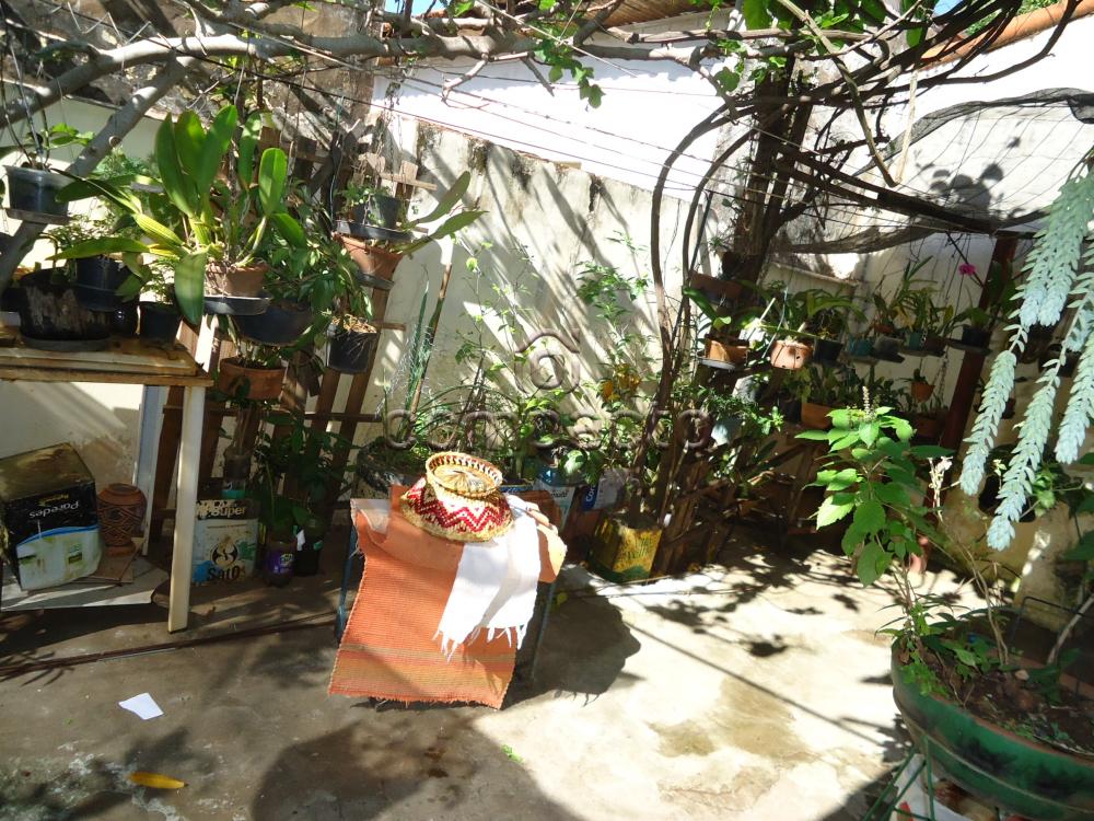 Comprar Casa / Padrão em São José do Rio Preto apenas R$ 250.000,00 - Foto 7 Comprar Casa / Padrão em São José do Rio Preto apenas R$ 250.000,00 - Foto 7