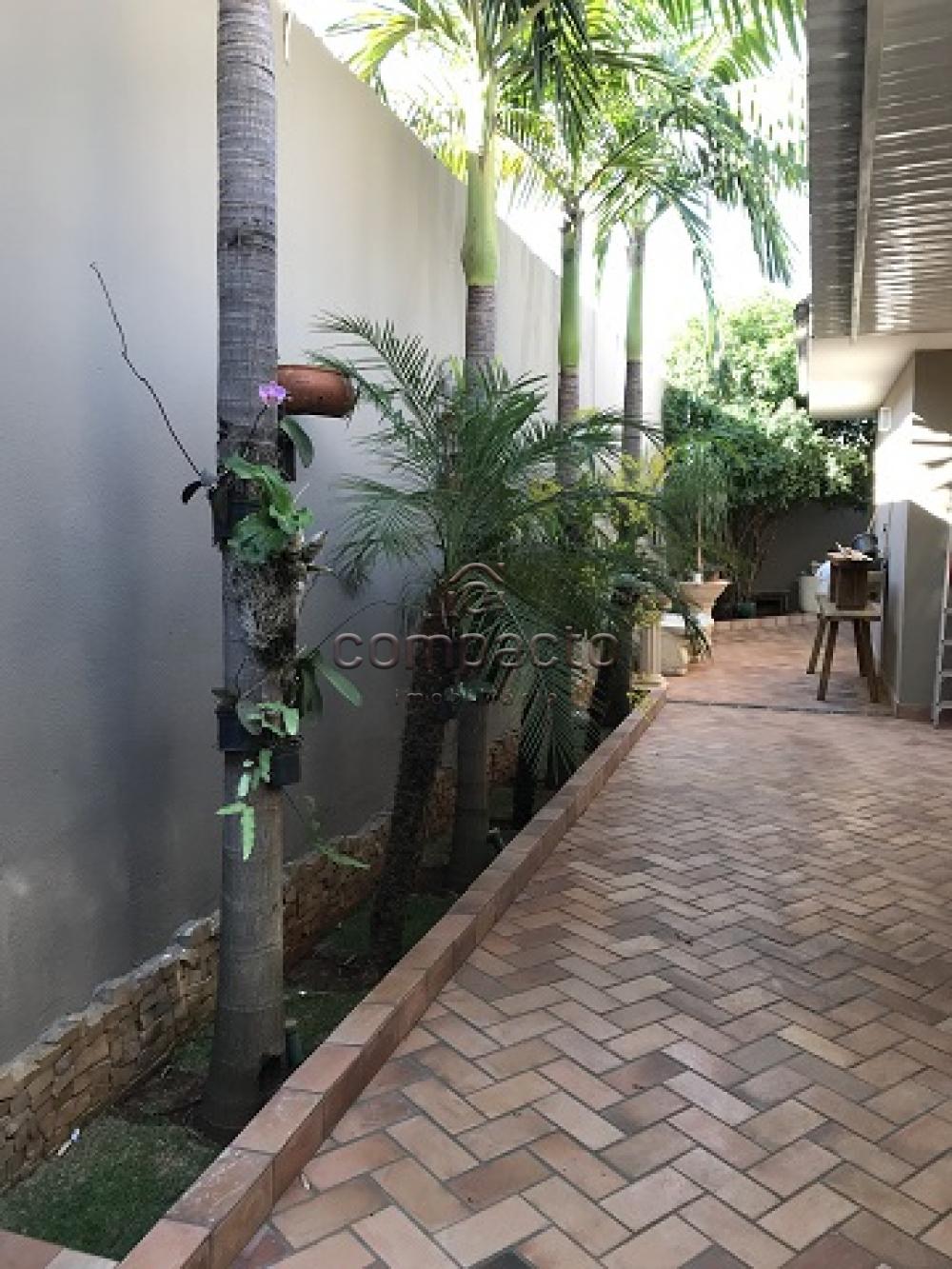 Comprar Casa / Padrão em São José do Rio Preto apenas R$ 850.000,00 - Foto 24 Comprar Casa / Padrão em São José do Rio Preto apenas R$ 850.000,00 - Foto 24