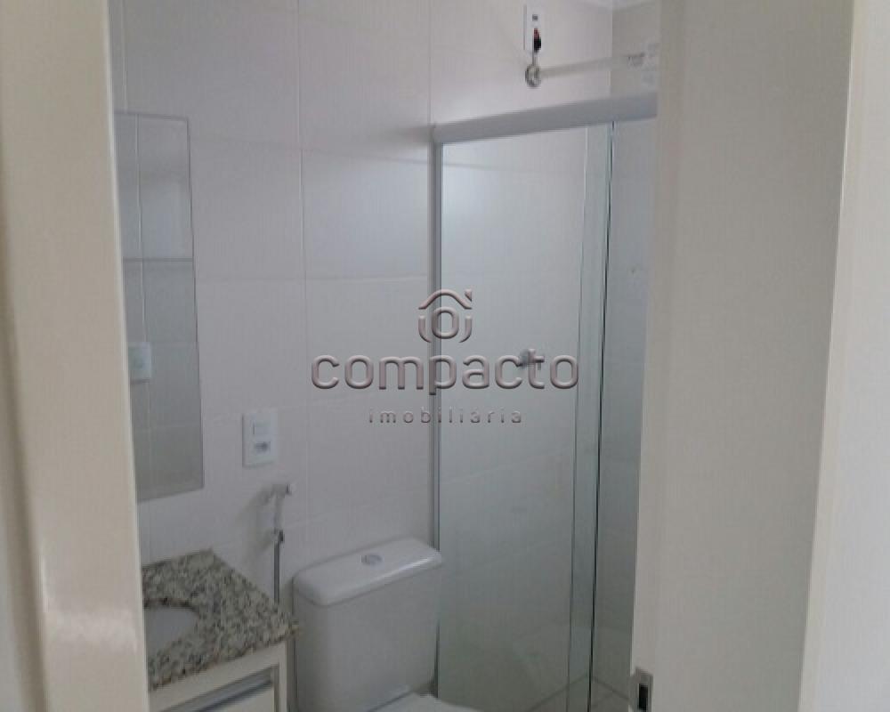 Alugar Apartamento / Padrão em São José do Rio Preto apenas R$ 1.000,00 - Foto 11 Alugar Apartamento / Padrão em São José do Rio Preto apenas R$ 1.000,00 - Foto 11