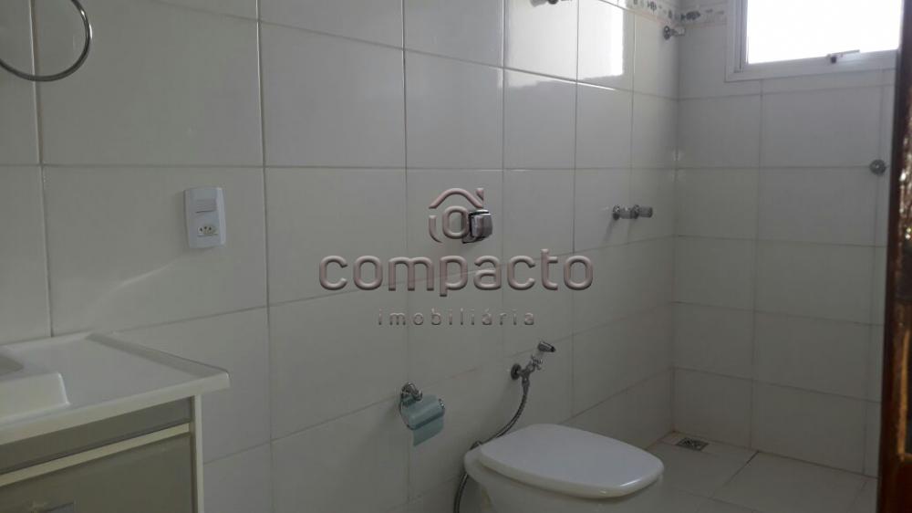 Alugar Casa / Condomínio em São José do Rio Preto apenas R$ 4.000,00 - Foto 24 Alugar Casa / Condomínio em São José do Rio Preto apenas R$ 4.000,00 - Foto 24