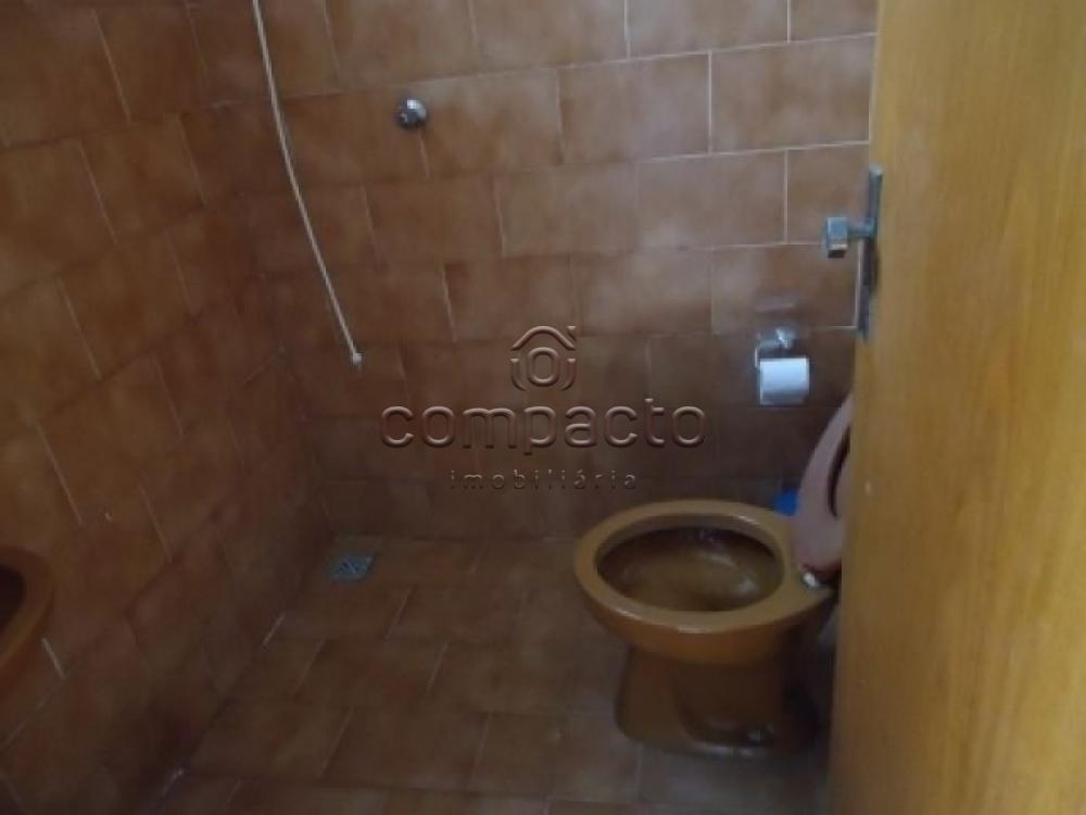 Alugar Apartamento / Kitnet em São Carlos apenas R$ 440,00 - Foto 5 Alugar Apartamento / Kitnet em São Carlos apenas R$ 440,00 - Foto 5