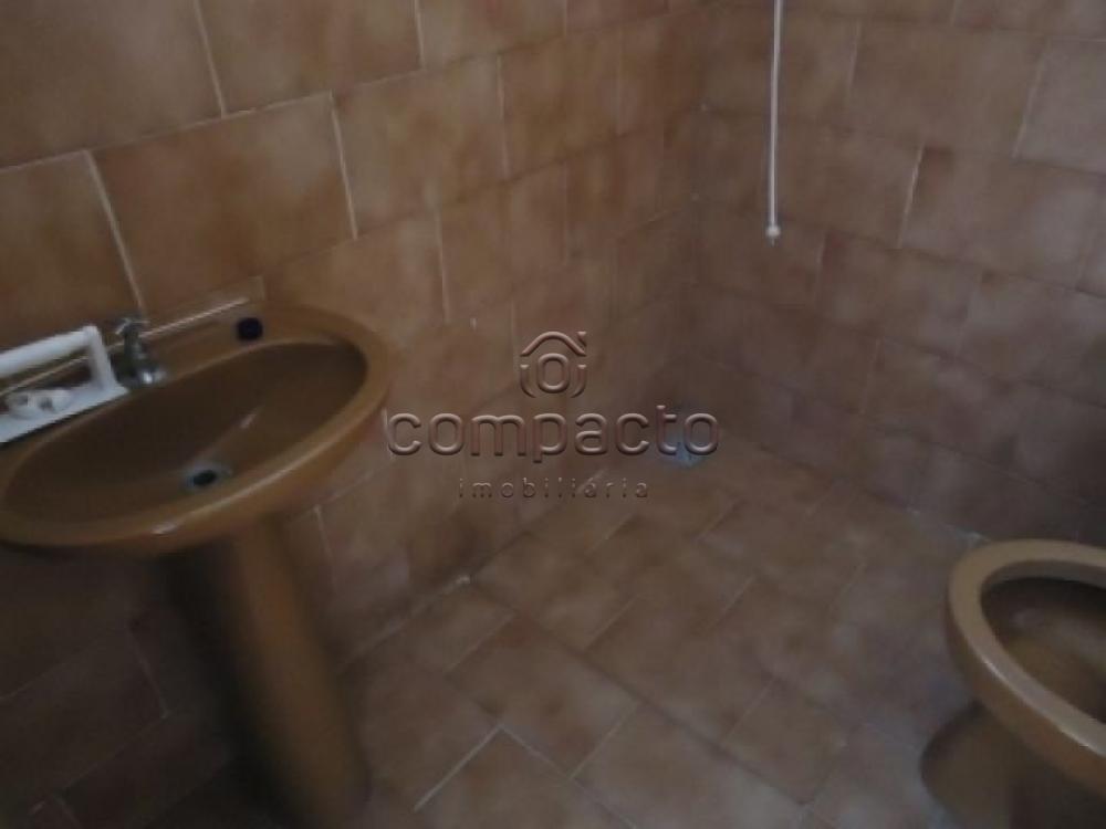 Alugar Apartamento / Kitnet em São Carlos apenas R$ 440,00 - Foto 6 Alugar Apartamento / Kitnet em São Carlos apenas R$ 440,00 - Foto 6