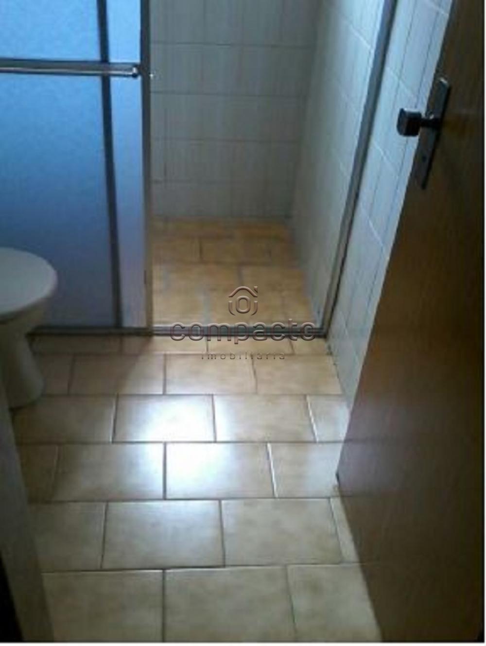 Alugar Apartamento / Padrão em São José do Rio Preto apenas R$ 800,00 - Foto 8 Alugar Apartamento / Padrão em São José do Rio Preto apenas R$ 800,00 - Foto 8