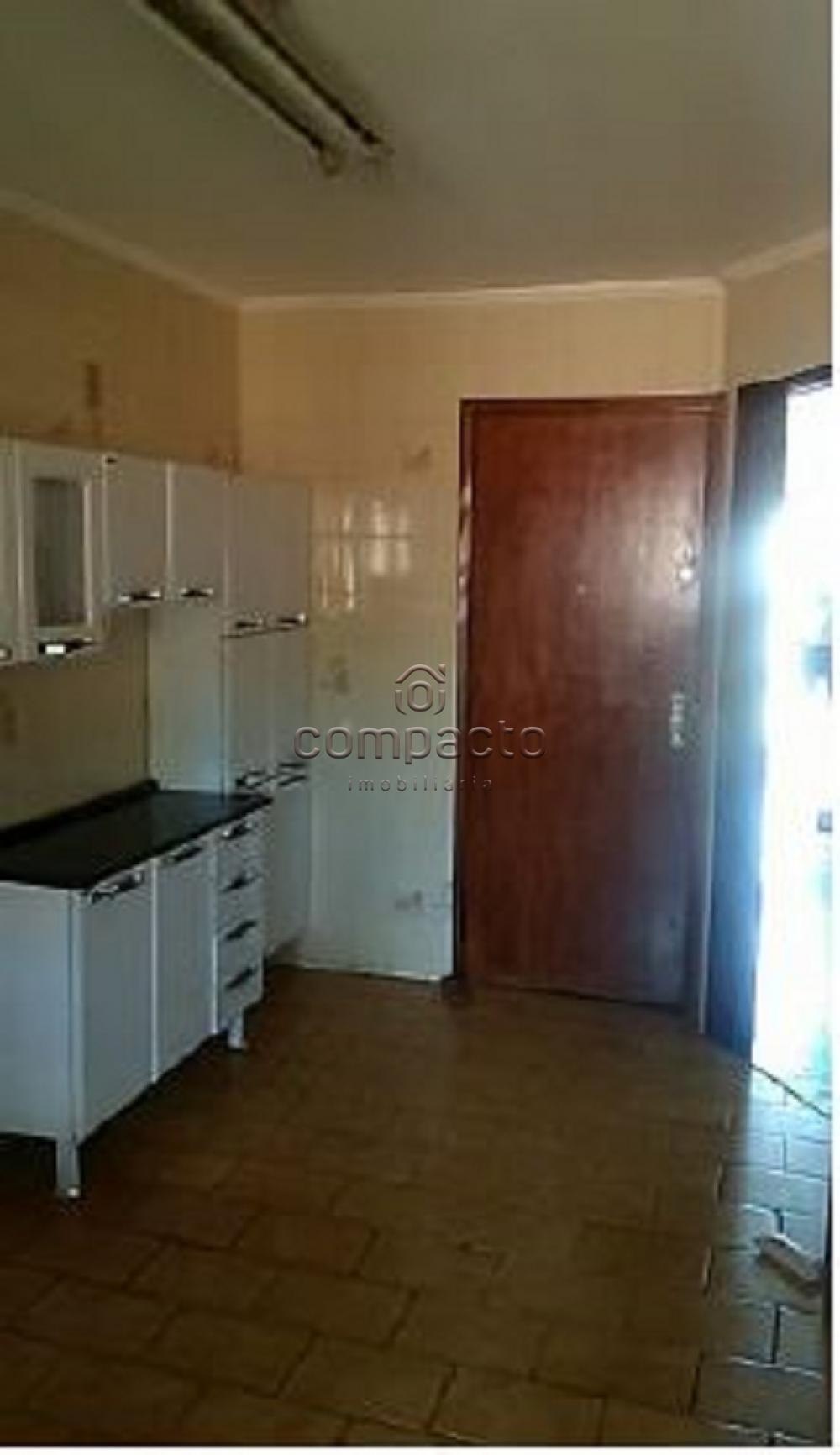 Alugar Apartamento / Padrão em São José do Rio Preto apenas R$ 800,00 - Foto 14 Alugar Apartamento / Padrão em São José do Rio Preto apenas R$ 800,00 - Foto 14