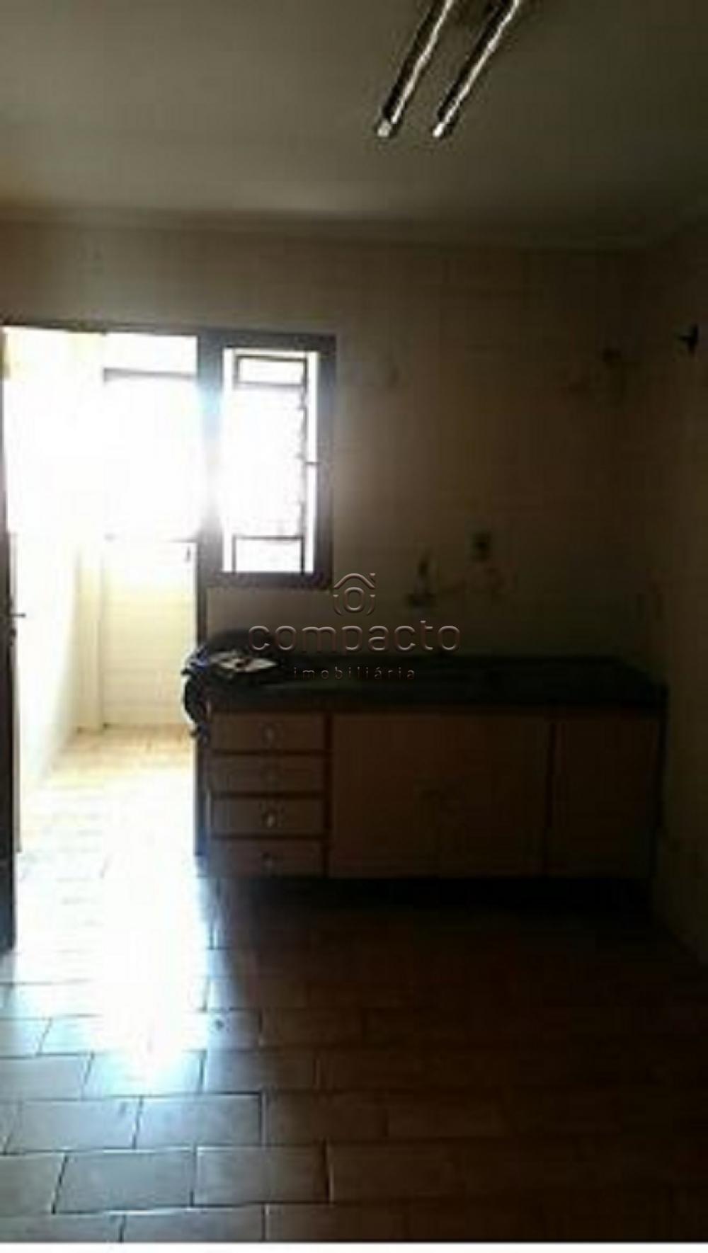 Alugar Apartamento / Padrão em São José do Rio Preto apenas R$ 800,00 - Foto 15 Alugar Apartamento / Padrão em São José do Rio Preto apenas R$ 800,00 - Foto 15
