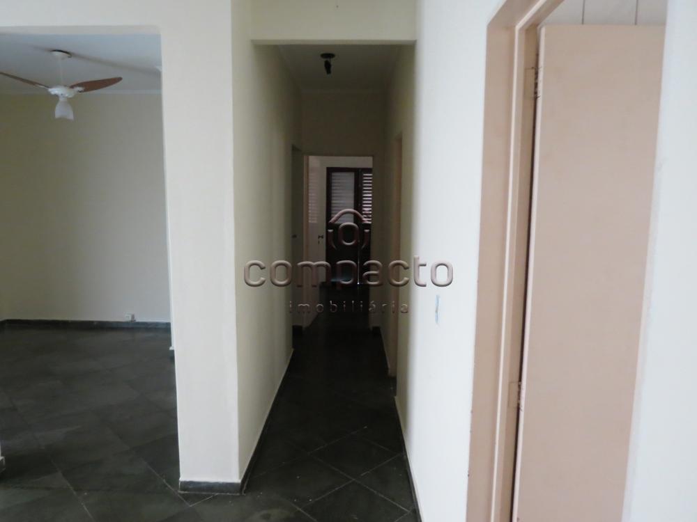 Comprar Apartamento / Padrão em São José do Rio Preto apenas R$ 250.000,00 - Foto 2 Comprar Apartamento / Padrão em São José do Rio Preto apenas R$ 250.000,00 - Foto 2