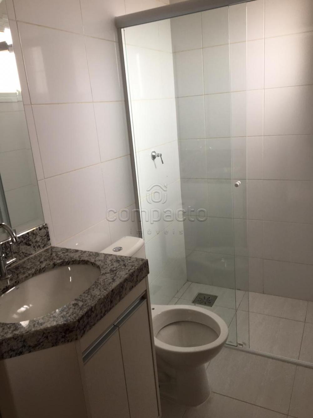 Alugar Apartamento / Padrão em São José do Rio Preto apenas R$ 850,00 - Foto 11 Alugar Apartamento / Padrão em São José do Rio Preto apenas R$ 850,00 - Foto 11