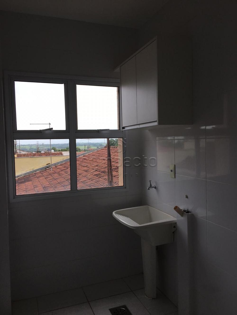 Alugar Apartamento / Padrão em São José do Rio Preto apenas R$ 850,00 - Foto 14 Alugar Apartamento / Padrão em São José do Rio Preto apenas R$ 850,00 - Foto 14