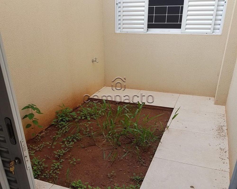 Comprar Casa / Padrão em São José do Rio Preto apenas R$ 350.000,00 - Foto 15 Comprar Casa / Padrão em São José do Rio Preto apenas R$ 350.000,00 - Foto 15