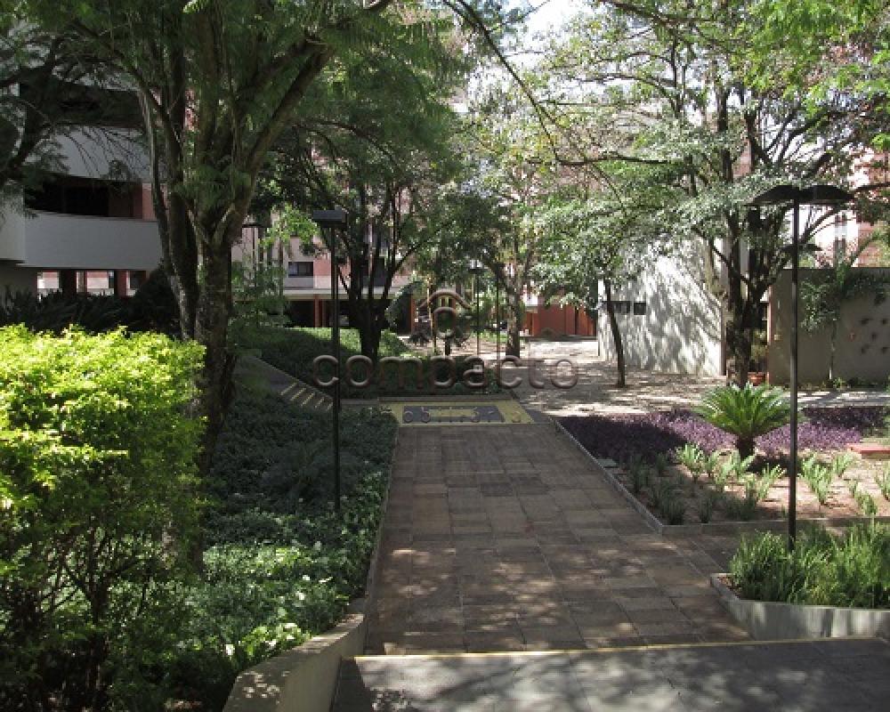 Comprar Apartamento / Padrão em São José do Rio Preto apenas R$ 550.000,00 - Foto 2 Comprar Apartamento / Padrão em São José do Rio Preto apenas R$ 550.000,00 - Foto 2