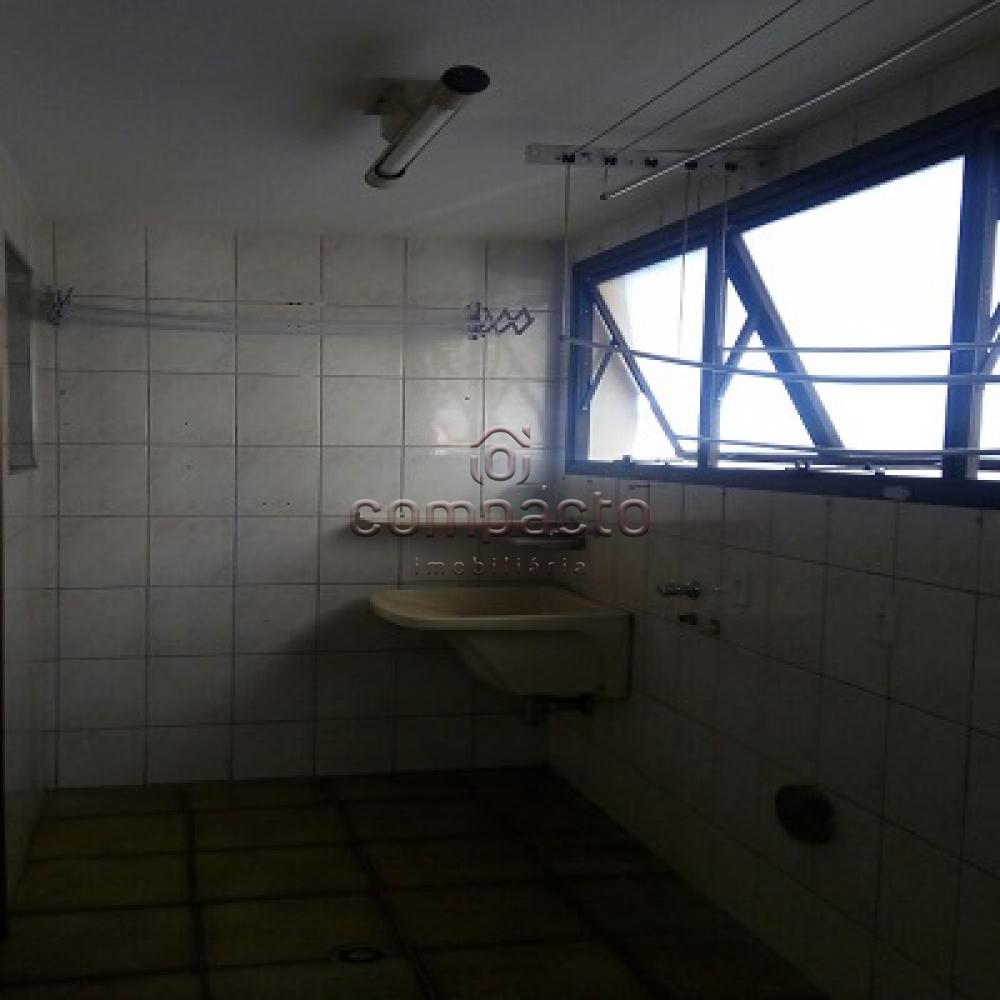 Alugar Apartamento / Padrão em São José do Rio Preto apenas R$ 1.200,00 - Foto 21 Alugar Apartamento / Padrão em São José do Rio Preto apenas R$ 1.200,00 - Foto 21