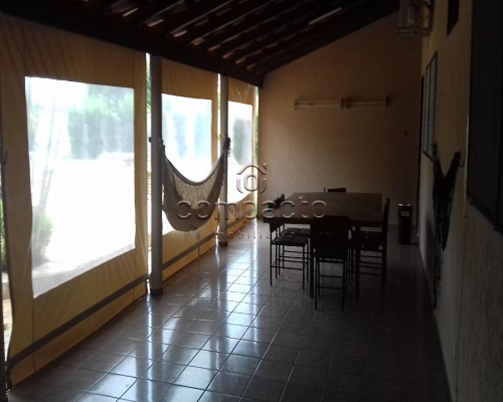 Comprar Rural / Rancho em Sales apenas R$ 430.000,00 - Foto 8 Comprar Rural / Rancho em Sales apenas R$ 430.000,00 - Foto 8