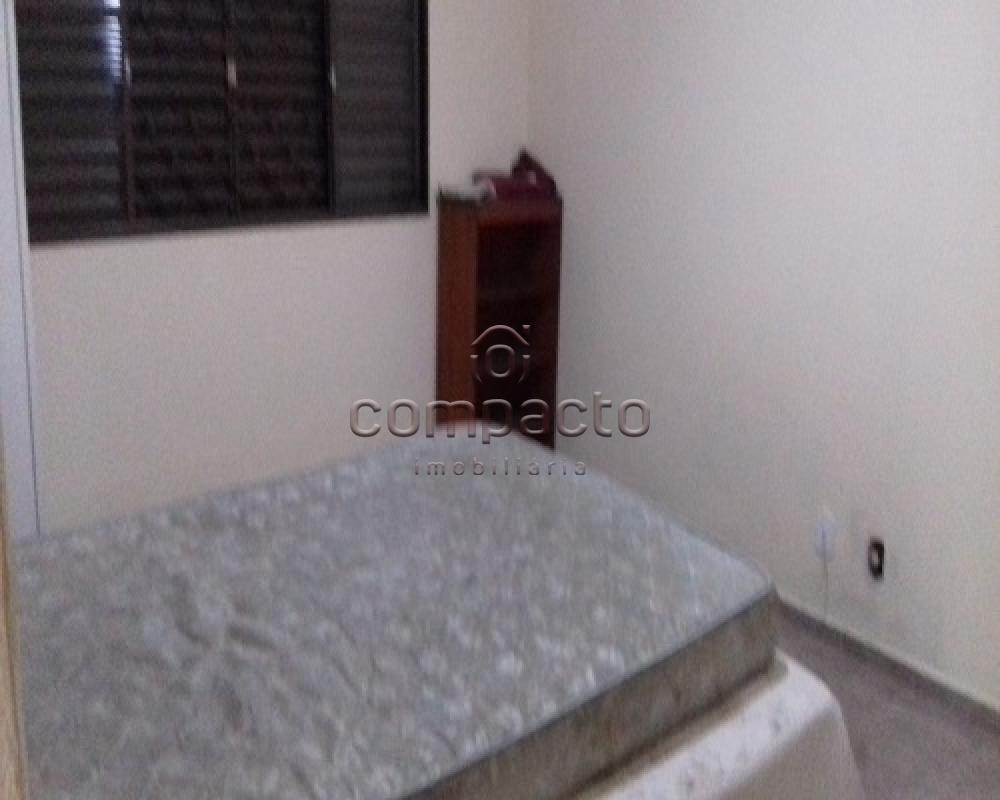 Comprar Rural / Rancho em Sales apenas R$ 430.000,00 - Foto 13 Comprar Rural / Rancho em Sales apenas R$ 430.000,00 - Foto 13