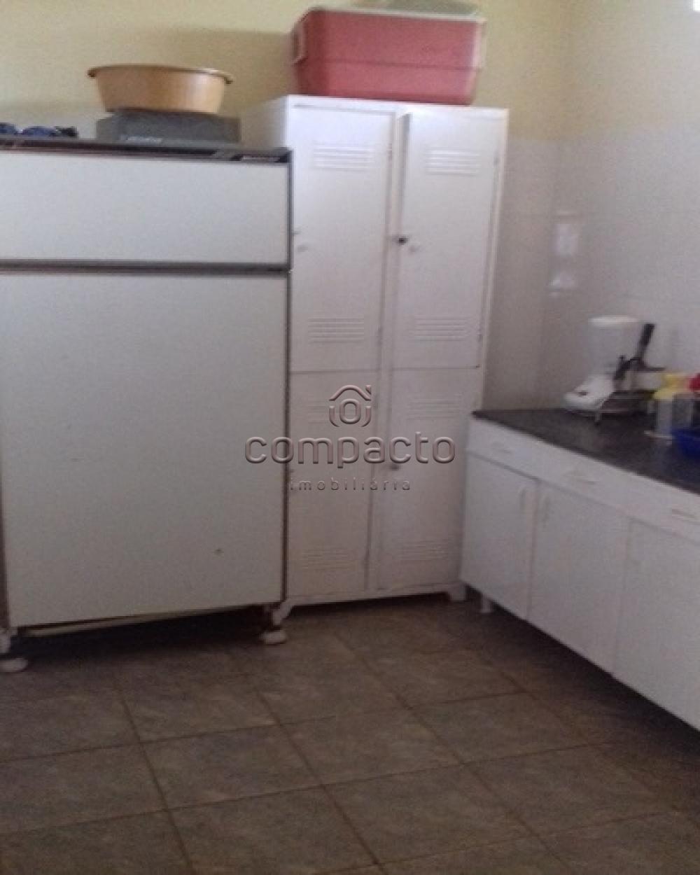 Comprar Rural / Rancho em Sales apenas R$ 430.000,00 - Foto 15 Comprar Rural / Rancho em Sales apenas R$ 430.000,00 - Foto 15