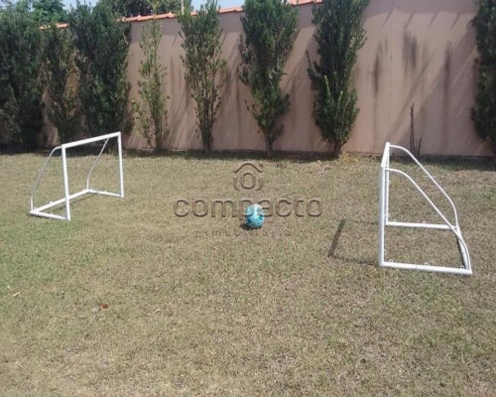 Comprar Rural / Rancho em Sales apenas R$ 430.000,00 - Foto 21 Comprar Rural / Rancho em Sales apenas R$ 430.000,00 - Foto 21
