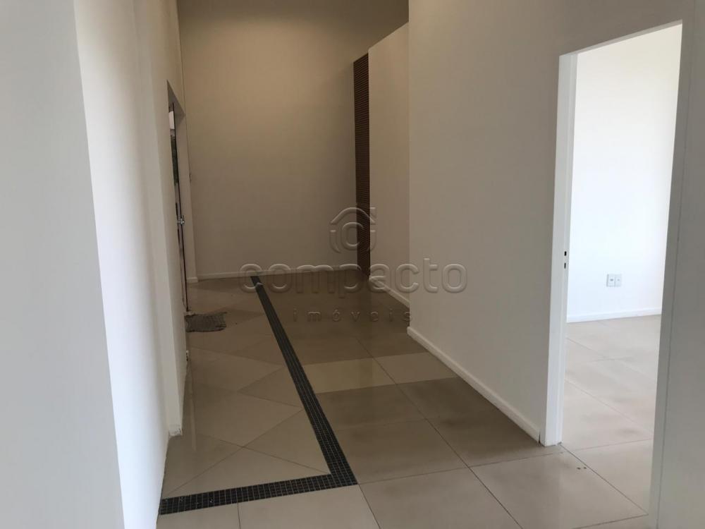 Alugar Comercial / Sala/Loja Condomínio em São José do Rio Preto apenas R$ 4.000,00 - Foto 4 Alugar Comercial / Sala/Loja Condomínio em São José do Rio Preto apenas R$ 4.000,00 - Foto 4