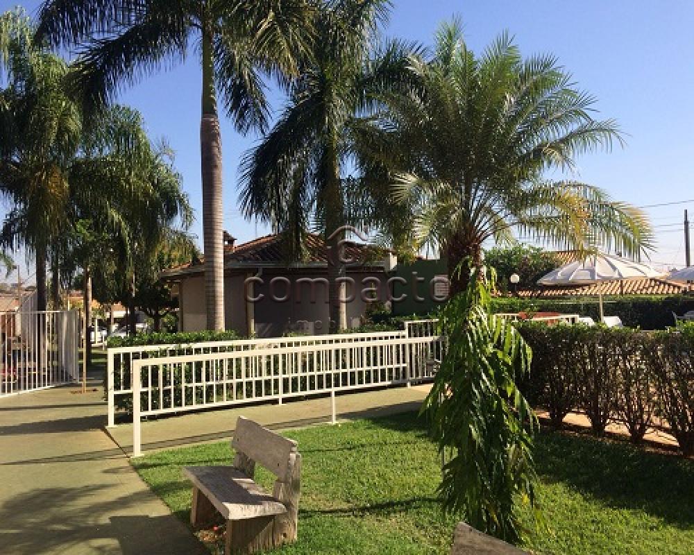 Comprar Casa / Condomínio em São José do Rio Preto apenas R$ 350.000,00 - Foto 12 Comprar Casa / Condomínio em São José do Rio Preto apenas R$ 350.000,00 - Foto 12