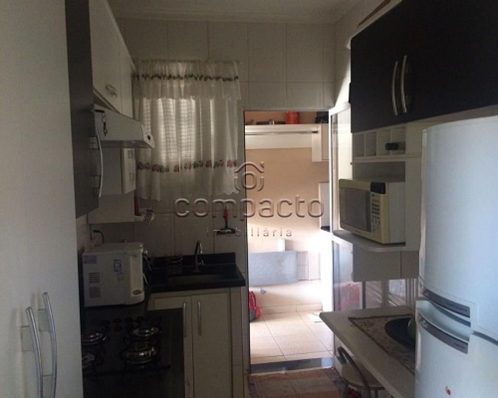Comprar Casa / Condomínio em São José do Rio Preto apenas R$ 350.000,00 - Foto 7 Comprar Casa / Condomínio em São José do Rio Preto apenas R$ 350.000,00 - Foto 7