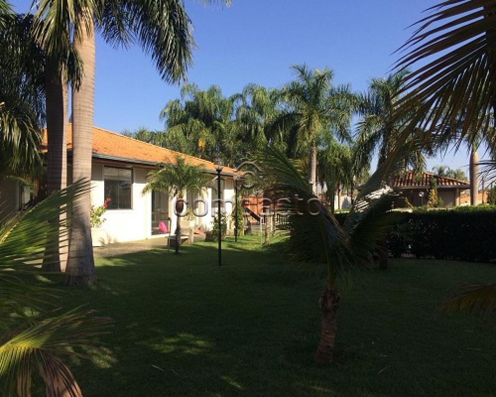 Comprar Casa / Condomínio em São José do Rio Preto apenas R$ 350.000,00 - Foto 15 Comprar Casa / Condomínio em São José do Rio Preto apenas R$ 350.000,00 - Foto 15