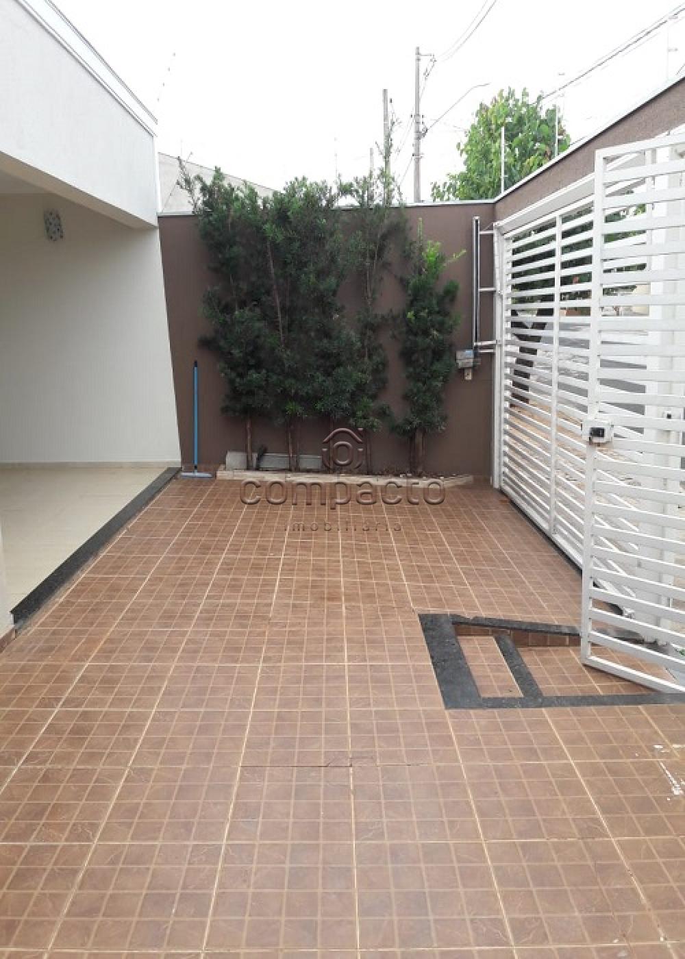 Alugar Casa / Padrão em São José do Rio Preto apenas R$ 1.100,00 - Foto 2 Alugar Casa / Padrão em São José do Rio Preto apenas R$ 1.100,00 - Foto 2