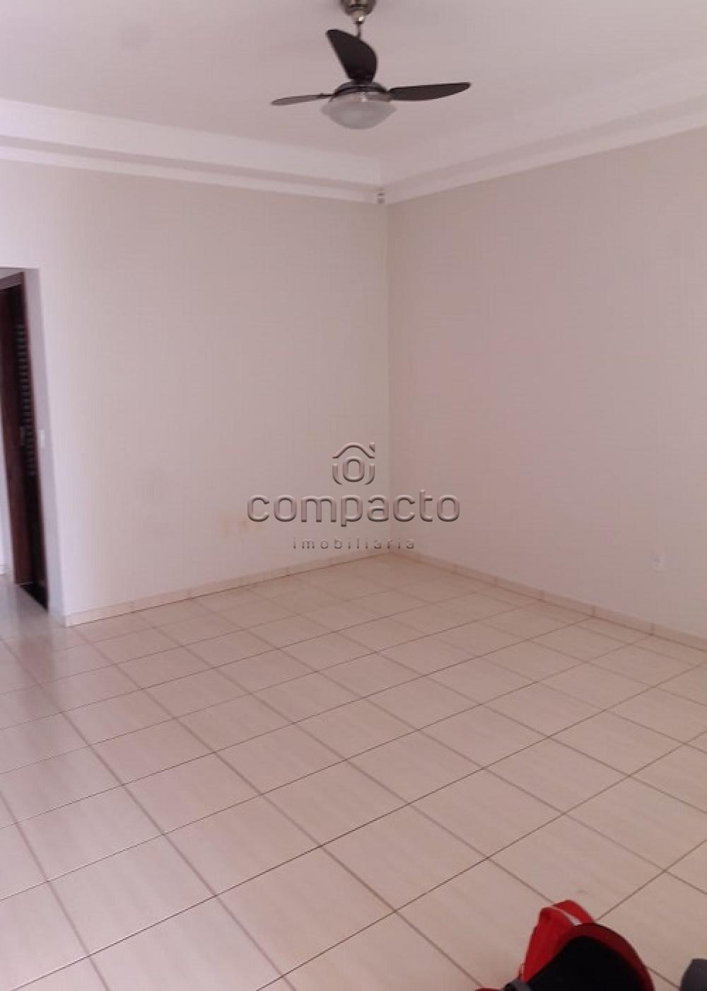 Alugar Casa / Padrão em São José do Rio Preto apenas R$ 1.100,00 - Foto 6 Alugar Casa / Padrão em São José do Rio Preto apenas R$ 1.100,00 - Foto 6