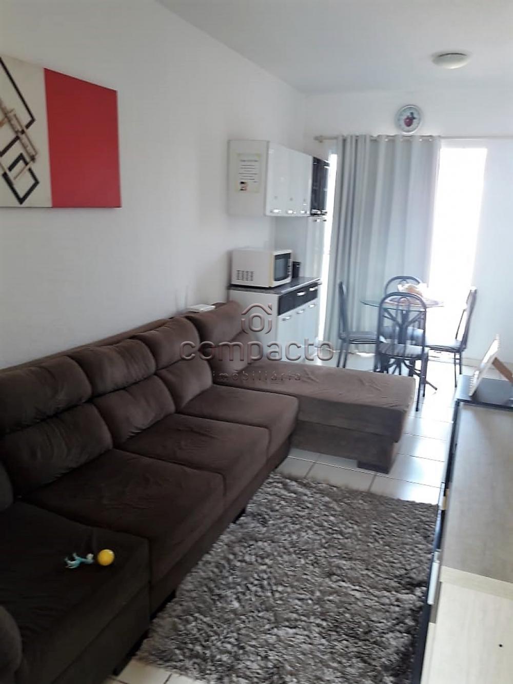 Alugar Casa / Condomínio em São José do Rio Preto apenas R$ 680,00 - Foto 1 Alugar Casa / Condomínio em São José do Rio Preto apenas R$ 680,00 - Foto 1