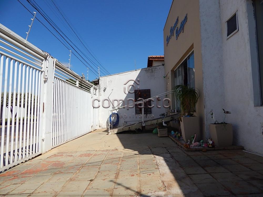 Comprar Comercial / Casa em São José do Rio Preto apenas R$ 360.000,00 - Foto 3 Comprar Comercial / Casa em São José do Rio Preto apenas R$ 360.000,00 - Foto 3