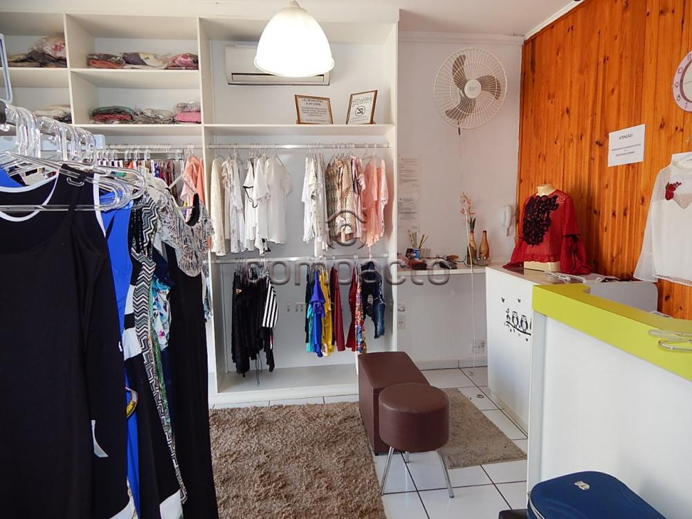 Comprar Comercial / Casa em São José do Rio Preto apenas R$ 360.000,00 - Foto 13 Comprar Comercial / Casa em São José do Rio Preto apenas R$ 360.000,00 - Foto 13
