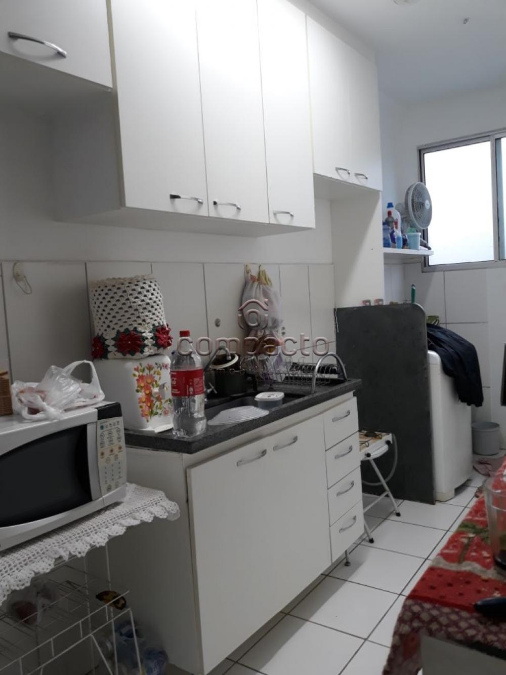 Comprar Apartamento / Padrão em São José do Rio Preto apenas R$ 175.000,00 - Foto 4 Comprar Apartamento / Padrão em São José do Rio Preto apenas R$ 175.000,00 - Foto 4