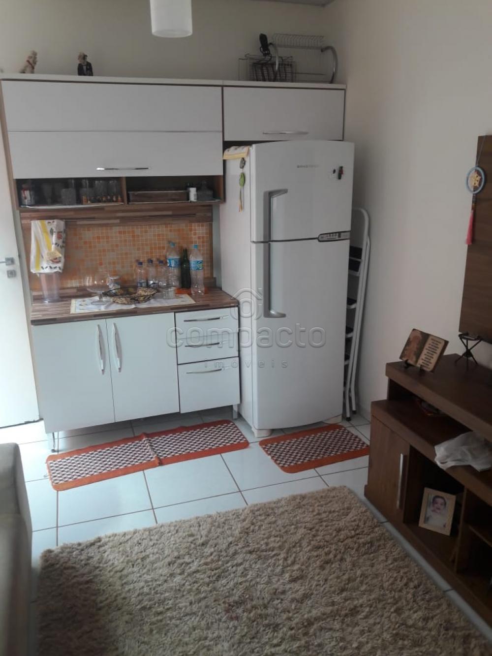 Comprar Casa / Padrão em São José do Rio Preto apenas R$ 450.000,00 - Foto 25 Comprar Casa / Padrão em São José do Rio Preto apenas R$ 450.000,00 - Foto 25