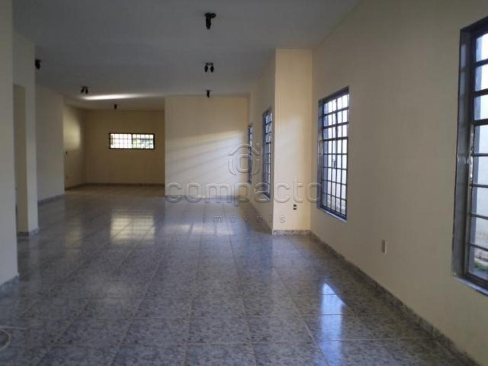 Alugar Casa / Padrão em São José do Rio Preto apenas R$ 3.500,00 - Foto 4 Alugar Casa / Padrão em São José do Rio Preto apenas R$ 3.500,00 - Foto 4